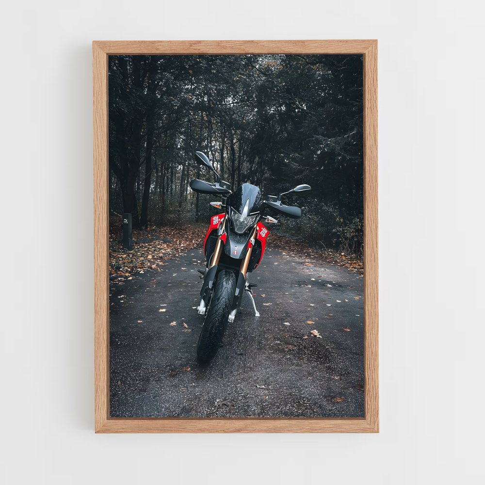 Poster Dorsoduro captivant – affiche Aprilia (vue 4)